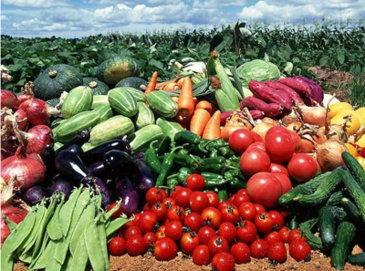 農(nóng)副產(chǎn)品價(jià)格低廉卻無人收購(gòu)的原因探析