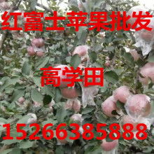 宏源農(nóng)副產(chǎn)品購銷處 打造優(yōu)質(zhì)農(nóng)副產(chǎn)品供應(yīng)鏈的橋梁