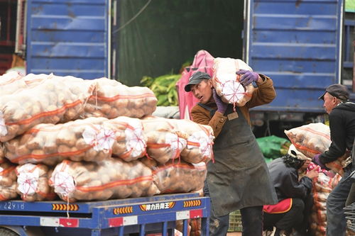 寒潮將至，備貨先行——太原河西市場(chǎng)全力保障市民“菜籃子”供應(yīng)