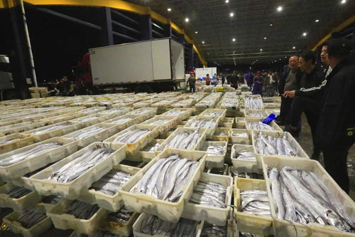 寒潮來(lái)襲，石浦水產(chǎn)城交易忙 冷鏈物流與“冰火”購(gòu)銷(xiāo)的春節(jié)前奏